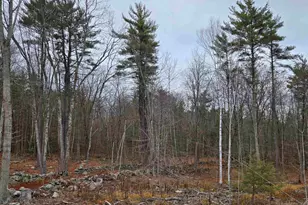669 High St, Candia, NH 03034 - Photo 49