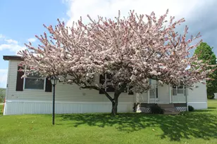 24 Ridgeview Terrace, Dalton, NH 03598 - Photo 25