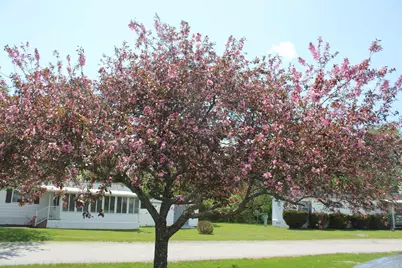 24 Ridgeview Terrace, Dalton, NH 03598 - Photo 27