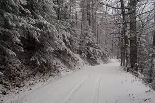 320 Hunt Mountain Rd, Monroe, NH 03771 - Photo 29