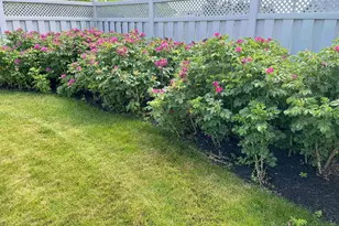 947 Ocean Blvd, Hampton, NH 03842 - Photo 35