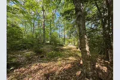 0 Peaked Hill Road, Bristol, NH 03222 - Photo 17