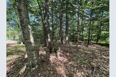 0 Peaked Hill Road, Bristol, NH 03222 - Photo 15
