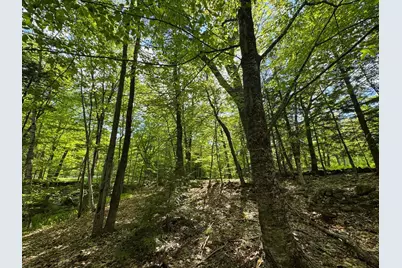 0 Peaked Hill Road, Bristol, NH 03222 - Photo 19