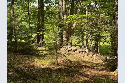 0 Peaked Hill Road, Bristol, NH 03222 - Photo 13