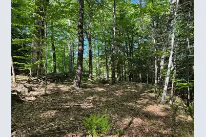 0 Peaked Hill Road, Bristol, NH 03222 - Photo 21