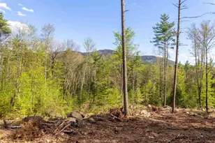 000 Elijah Beede Rd, Sandwich, NH 03227 - Photo 1