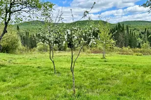 26 Ad Chase Rd, Pittsburg, NH 03592 - Photo 7