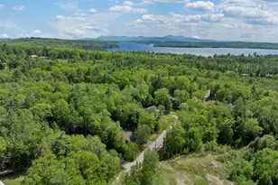 19 New Rd, Tuftonboro, NH 03850 - Photo 45