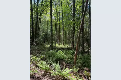 0 Walker Drive, Lancaster, NH 03584 - Photo 7