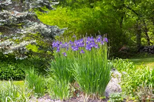 860 Briar Hill Rd, Hopkinton, NH 03229 - Photo 9
