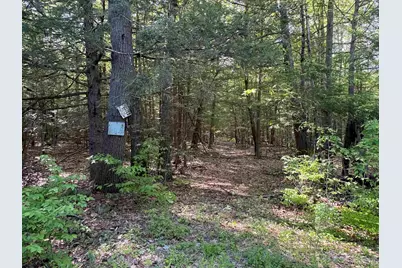 Lot 85 Currier Road, Candia, NH 03034 - Photo 3