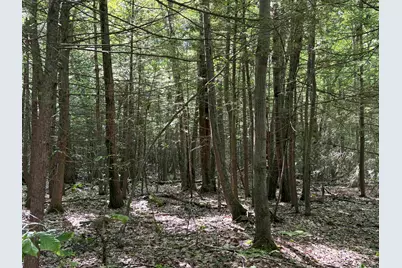 Lot 85 Currier Road, Candia, NH 03034 - Photo 5