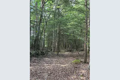 Lot 85 Currier Road, Candia, NH 03034 - Photo 13