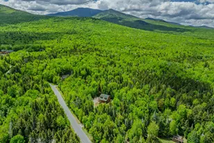 92 Joyce Dr, Carroll, NH 03595 - Photo 47