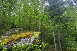 0 Saphire Ln, Jefferson, NH 03583 - Photo 1
