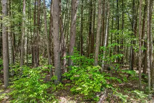 47 Forest Pond Rd, New Hampton, NH 03256 - Photo 29