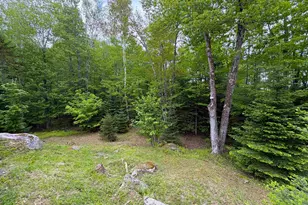 28 Wildwood Dr, Grantham, NH 03753 - Photo 39