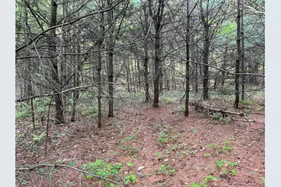 Map17-Lot 31&amp;33 River Road, Bath, NH 03740 - Photo 21