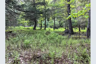 Map17-Lot 31&amp;33 River Road, Bath, NH 03740 - Photo 23