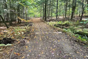 Lot 13 Beach Pond Rd, Wolfeboro, NH 03894 - Photo 1