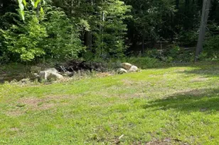 28 Westwood Ln, Henniker, NH 03242 - Photo 23