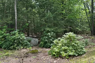 103 Boulder Dr, Dublin, NH 03444 - Photo 15