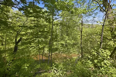 307 School Street, Rumney, NH 03266 - Photo 13