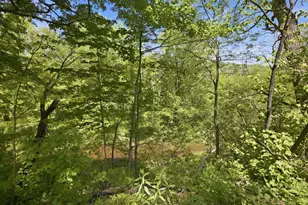 307 School St, Rumney, NH 03266 - Photo 13