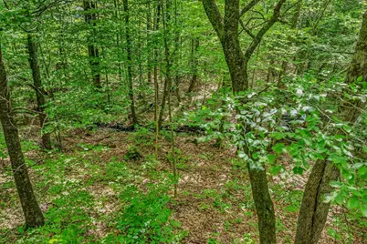 146 Bell Valley Road, Campton, NH 03223 - Photo 35