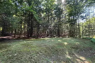 174 Pond Brook Rd, Chesterfield, NH 03466 - Photo 35