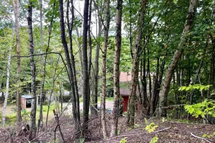 819 N Main St, Washington, NH 03280 - Photo 19