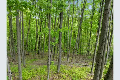 102 Highland Street, Plymouth, NH 03264 - Photo 31