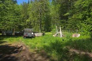 1029 Stark Hwy, Stark, NH 03582 - Photo 3