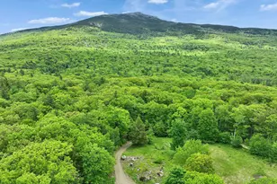38 Shaker Farm Rd S, Marlborough, NH 03455 - Photo 3