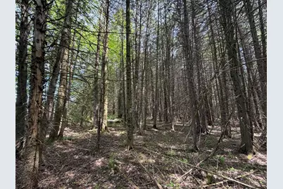 2278 Valley Road, Holland, VT 05830 - Photo 5