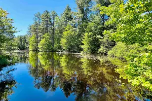 50 Hoit Mill Rd, Weare, NH 03281 - Photo 29