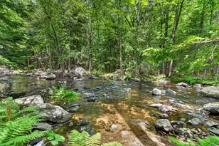 49 Shedd Rd, Hillsboro, NH 03244 - Photo 45