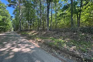 Lot 20 3 (Tm4) John Hodgdon Rd, Ossipee, NH 03864 - Photo 1