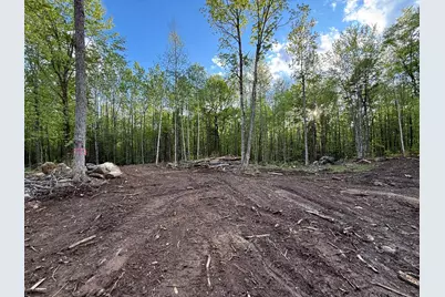 Lot 9 Old County Road, Franconia, NH 03580 - Photo 9