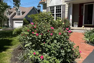 16 Dunlin Way, Portsmouth, NH 03801 - Photo 3