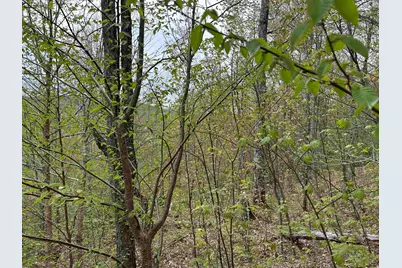 Mapb2Lot16 Deadwater Road, Stewartstown, NH 03597 - Photo 17