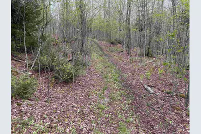 Mapb2Lot16 Deadwater Road, Stewartstown, NH 03597 - Photo 21