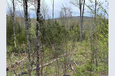 Mapb2Lot16 Deadwater Road, Stewartstown, NH 03597 - Photo 7