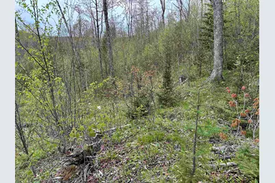 Mapb2Lot16 Deadwater Road, Stewartstown, NH 03597 - Photo 13