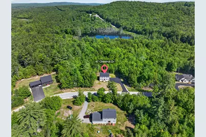 47 Chestnut Drive, Allenstown, NH 03275 - Photo 49