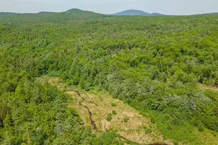 540 Fitzwilliam Rd, Richmond, NH 03470 - Photo 33