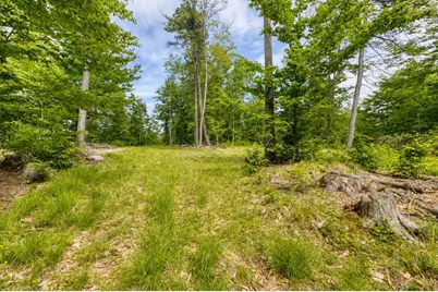 160 Browns Ridge Road, Ossipee, NH 03864 - Photo 59