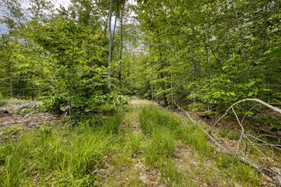 160 Browns Ridge Road, Ossipee, NH 03864 - Photo 53