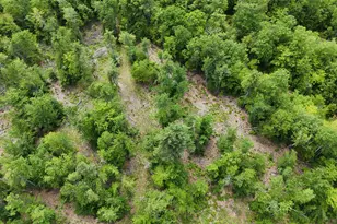 160 Browns Ridge Rd, Ossipee, NH 03864 - Photo 15
